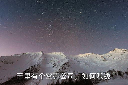 手里有個空殼公司，如何賺錢