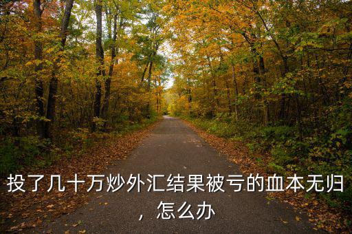 投了幾十萬(wàn)炒外匯結(jié)果被虧的血本無(wú)歸，怎么辦