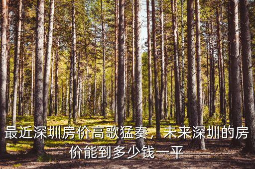 最近深圳房價高歌猛奏，未來深圳的房價能到多少錢一平