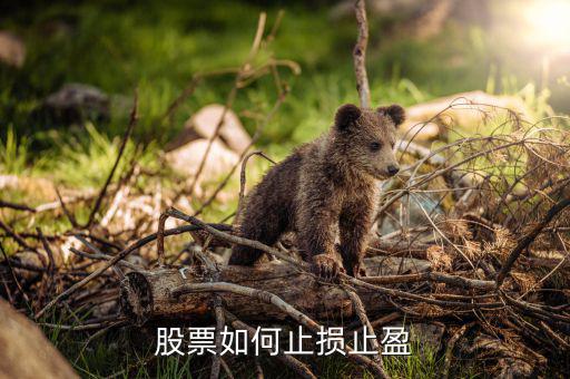怎么止損止盈,如何科學設(shè)置止損和止盈