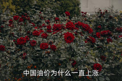 為什么中國油價(jià)高,為什么感覺中國油價(jià)這么高