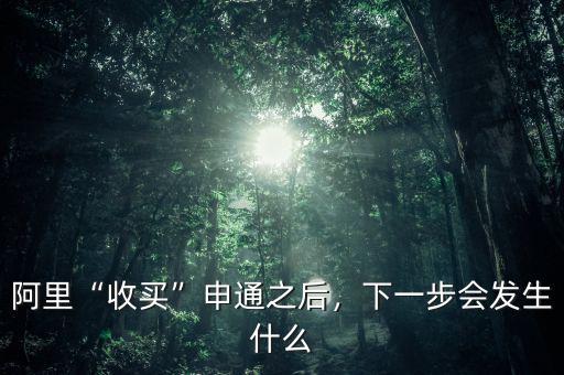 阿里“收買(mǎi)”申通之后，下一步會(huì)發(fā)生什么