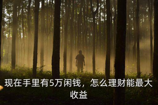 現(xiàn)在手里有5萬閑錢，怎么理財能最大收益