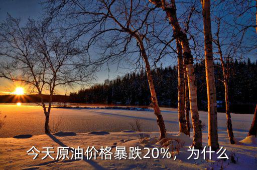 今天原油價(jià)格暴跌20%，為什么