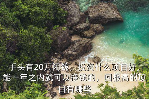 手頭有20萬(wàn)閑錢，投資什么項(xiàng)目好，能一年之內(nèi)就可以掙錢的，回報(bào)高的項(xiàng)目有哪些