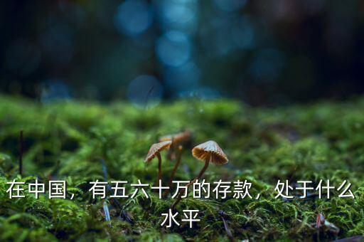 在中國，有五六十萬的存款，處于什么水平