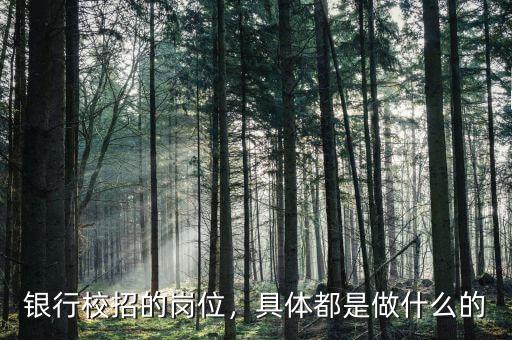 銀行校招的崗位，具體都是做什么的