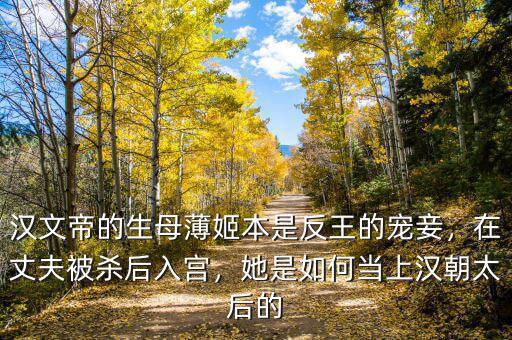 漢文帝的生母薄姬本是反王的寵妾，在丈夫被殺后入宮，她是如何當(dāng)上漢朝太后的