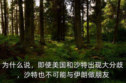 為什么說(shuō)，即使美國(guó)和沙特出現(xiàn)大分歧，沙特也不可能與伊朗做朋友