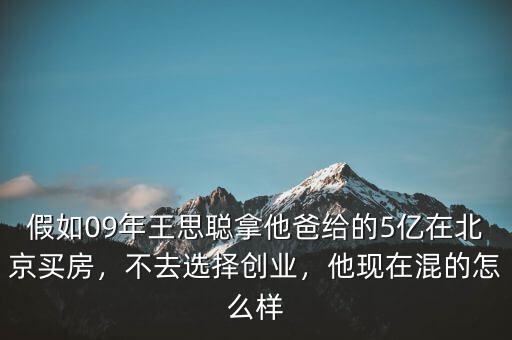 假如09年王思聰拿他爸給的5億在北京買(mǎi)房，不去選擇創(chuàng)業(yè)，他現(xiàn)在混的怎么樣
