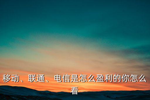 移動(dòng)、聯(lián)通、電信是怎么盈利的你怎么看