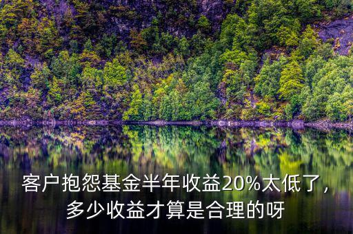 客戶抱怨基金半年收益20%太低了，多少收益才算是合理的呀
