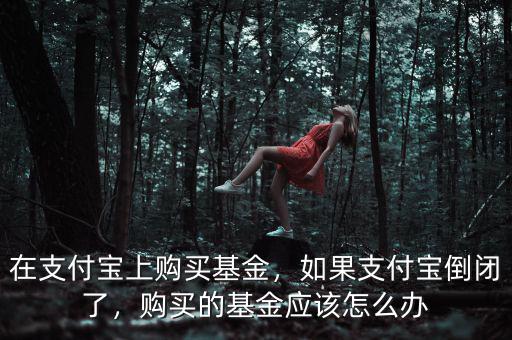 在支付寶上購買基金，如果支付寶倒閉了，購買的基金應(yīng)該怎么辦