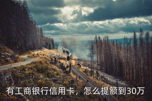 有工商銀行信用卡，怎么提額到30萬(wàn)