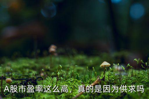 A股市盈率這么高，真的是因?yàn)楣┣髥? class=