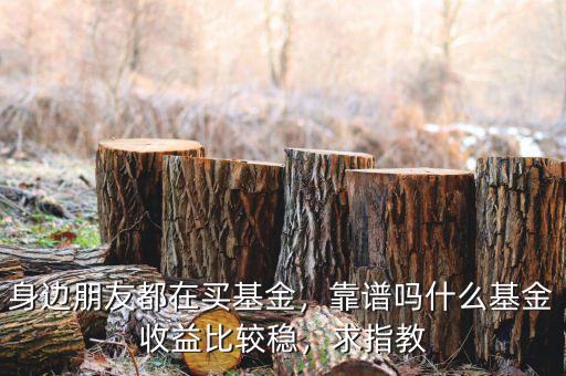 身邊朋友都在買基金，靠譜嗎什么基金收益比較穩(wěn)，求指教