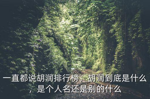 一直都說(shuō)胡潤(rùn)排行榜，胡潤(rùn)到底是什么，是個(gè)人名還是別的什么