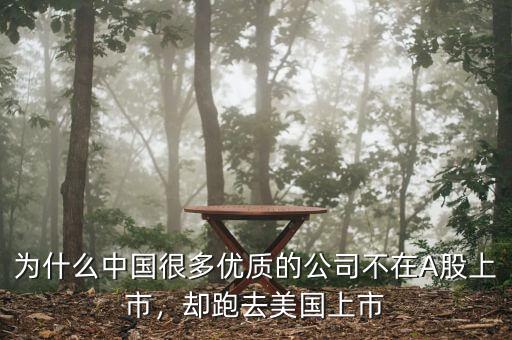 為什么中國很多優(yōu)質的公司不在A股上市，卻跑去美國上市
