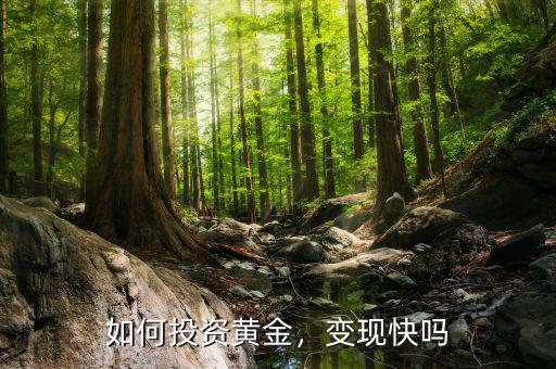 如何投資黃金，變現(xiàn)快嗎