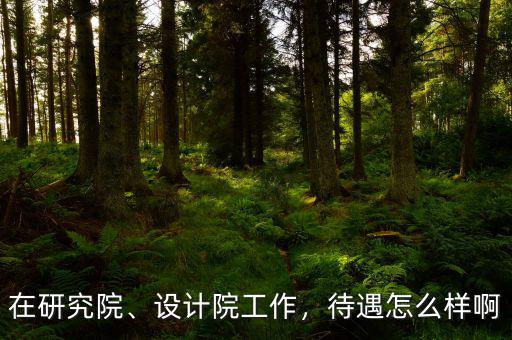 在研究院、設(shè)計(jì)院工作，待遇怎么樣啊