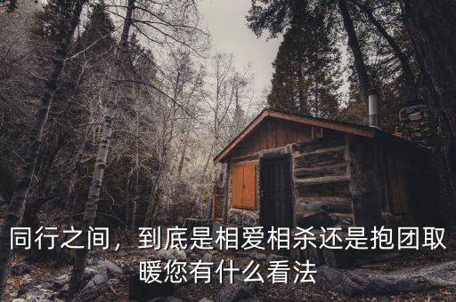 同行之間，到底是相愛(ài)相殺還是抱團(tuán)取暖您有什么看法