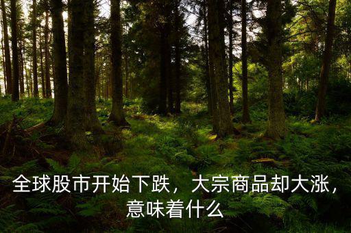 全球股市開始下跌，大宗商品卻大漲，意味著什么