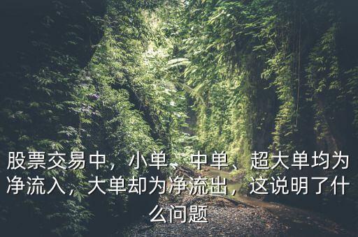 股票交易中，小單、中單、超大單均為凈流入，大單卻為凈流出，這說明了什么問題