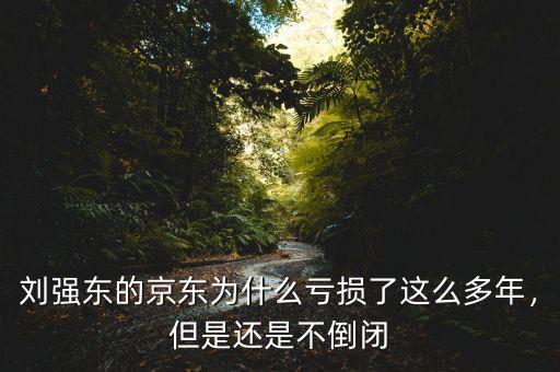 劉強(qiáng)東的京東為什么虧損了這么多年，但是還是不倒閉