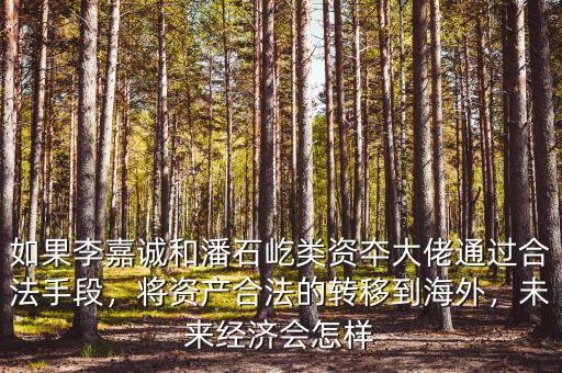 如果李嘉誠和潘石屹類資夲大佬通過合法手段，將資產(chǎn)合法的轉(zhuǎn)移到海外，未來經(jīng)濟(jì)會(huì)怎樣