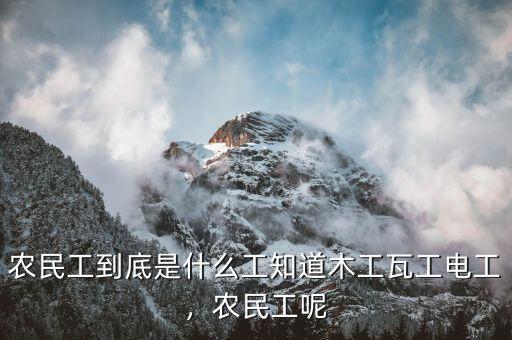 農(nóng)民工到底是什么工知道木工瓦工電工，農(nóng)民工呢