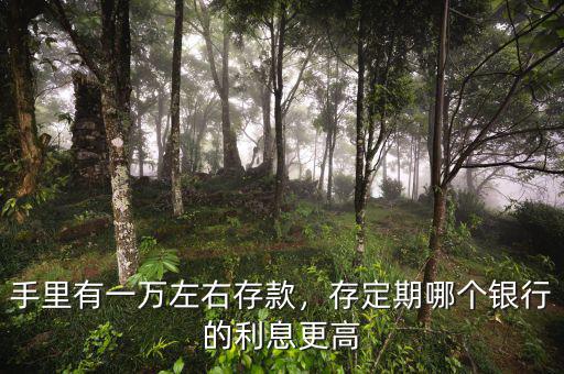 手里有一萬(wàn)左右存款，存定期哪個(gè)銀行的利息更高
