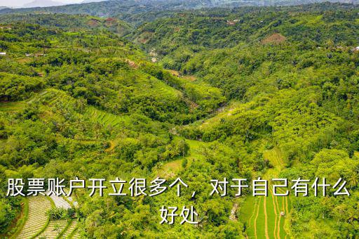 股票賬戶開立很多個，對于自己有什么好處