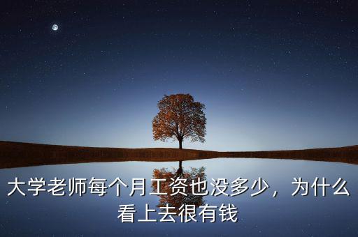 大學(xué)老師每個(gè)月工資也沒多少，為什么看上去很有錢