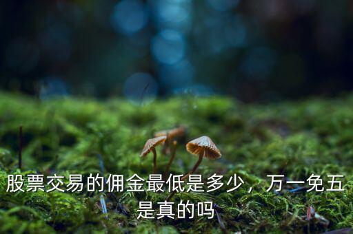 股票交易的傭金最低是多少，萬一免五是真的嗎