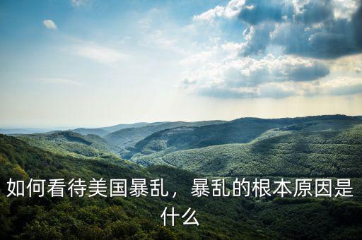 如何看待美國暴亂，暴亂的根本原因是什么