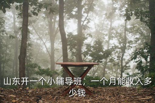 山東開一個小輔導班，一個月能收入多少錢