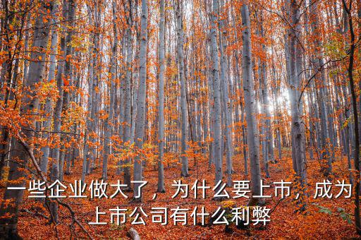 一些企業(yè)做大了，為什么要上市，成為上市公司有什么利弊