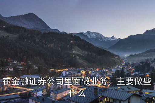 在金融證券公司里面做業(yè)務(wù)，主要做些什么