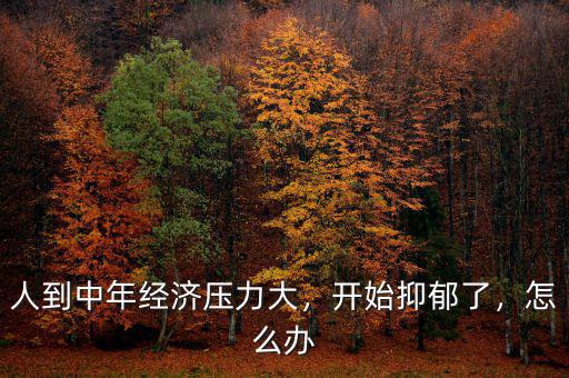 人到中年經(jīng)濟(jì)壓力大，開始抑郁了，怎么辦