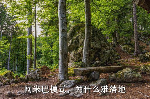 阿米巴模式，為什么難落地