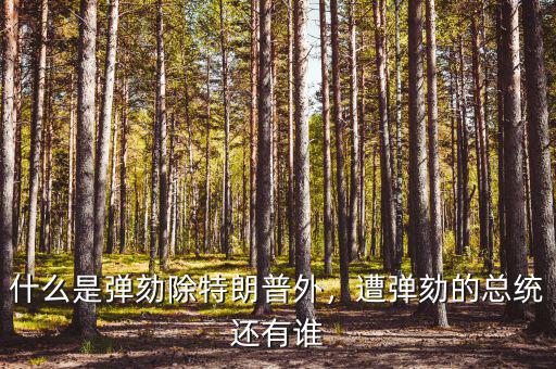 什么是彈劾除特朗普外，遭彈劾的總統(tǒng)還有誰
