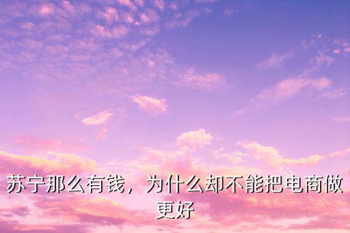蘇寧那么有錢(qián)，為什么卻不能把電商做更好