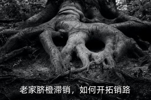 老家臍橙滯銷，如何開拓銷路