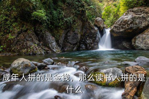 成年人拼的是金錢(qián)，那么讀書(shū)人拼的是什么
