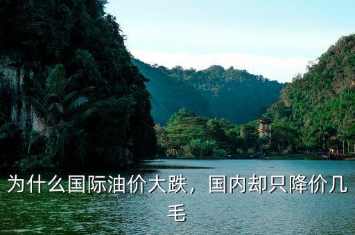 為什么國(guó)際油價(jià)大跌，國(guó)內(nèi)卻只降價(jià)幾毛