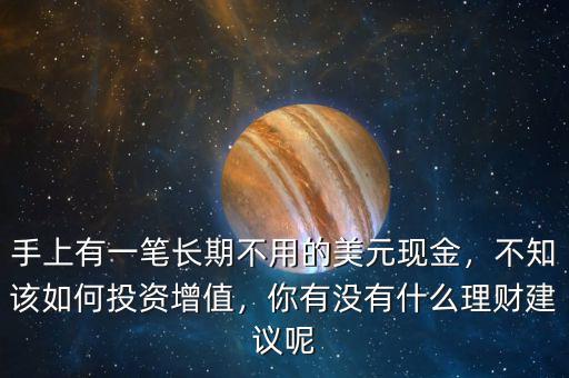 手上有一筆長期不用的美元現(xiàn)金，不知該如何投資增值，你有沒有什么理財(cái)建議呢