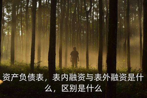資產(chǎn)負(fù)債表，表內(nèi)融資與表外融資是什么，區(qū)別是什么