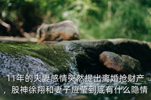 11年的夫妻感情突然提出離婚搶財(cái)產(chǎn)，股神徐翔和妻子應(yīng)瑩到底有什么隱情