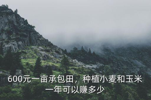 600元一畝承包田，種植小麥和玉米一年可以賺多少