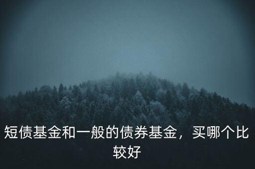 短債基金和一般的債券基金，買哪個比較好